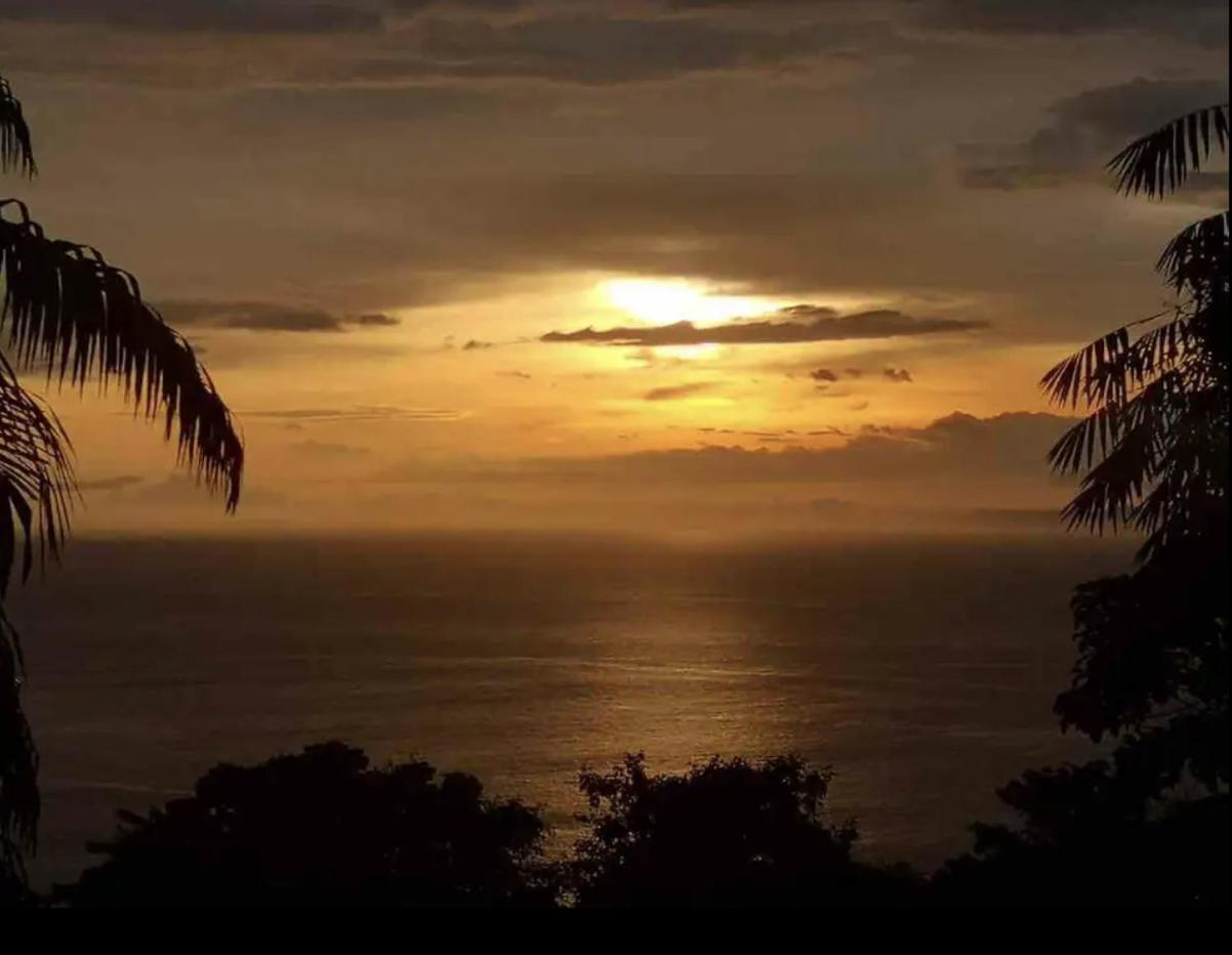 Beautiful Rustic Treehouse Hotel Manuel Antonio 奎波斯城 外观 照片