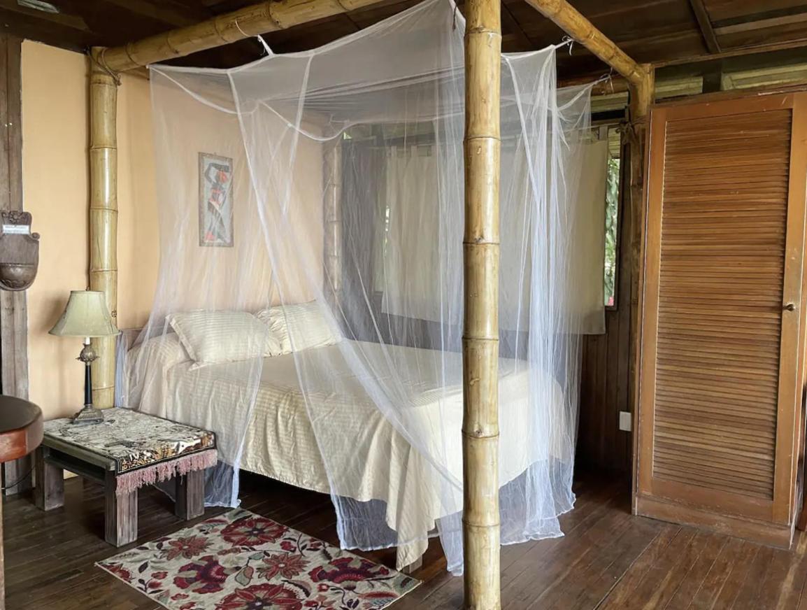 Beautiful Rustic Treehouse Hotel Manuel Antonio 奎波斯城 外观 照片