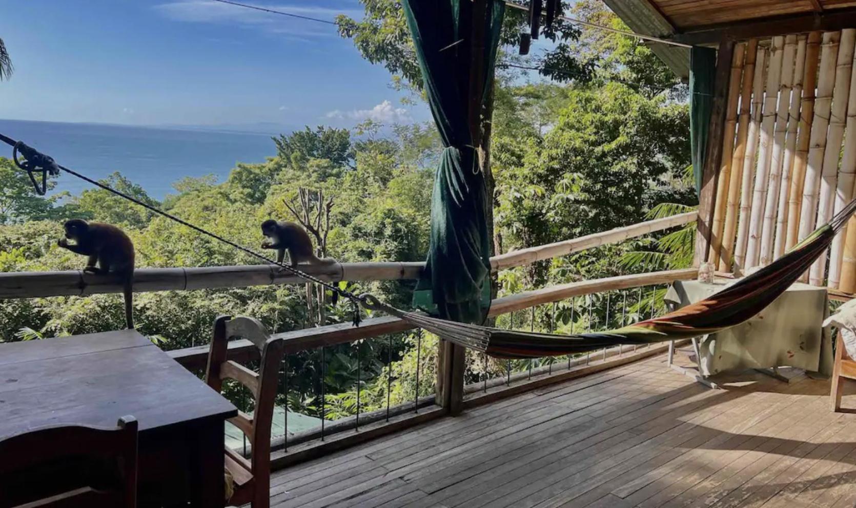 Beautiful Rustic Treehouse Hotel Manuel Antonio 奎波斯城 外观 照片